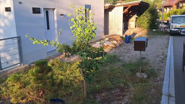  Social Post nyhof.ch 18050561042285107 Bild